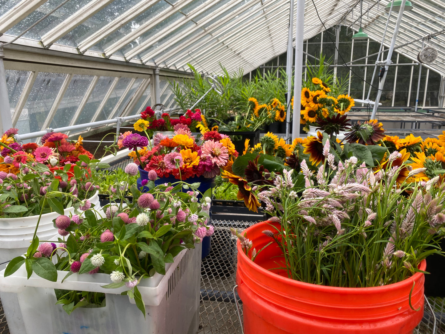 DIY flower buckets